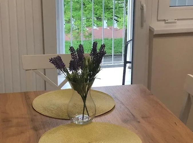 Kelemen * Nagykanizsa