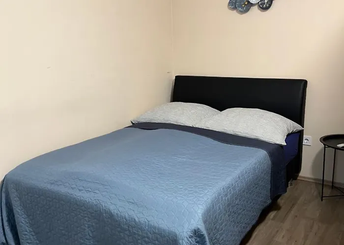 Kelemen * 나지카니자