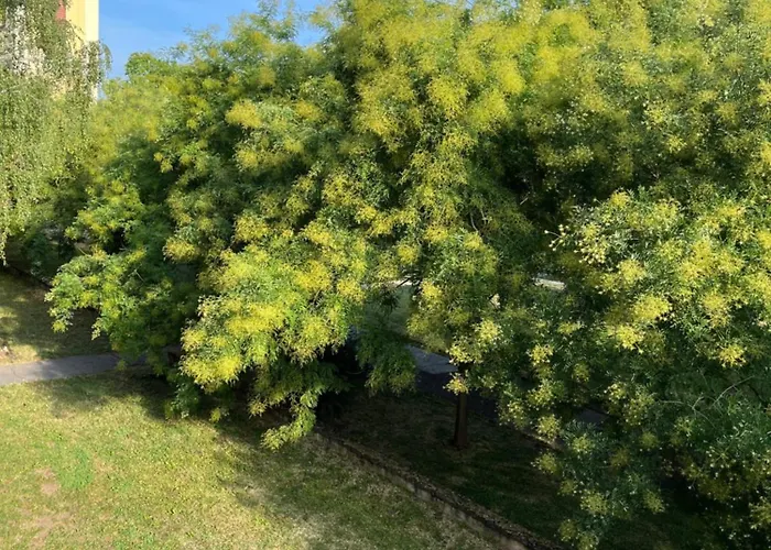 Apartment Kelemen Nagykanizsa